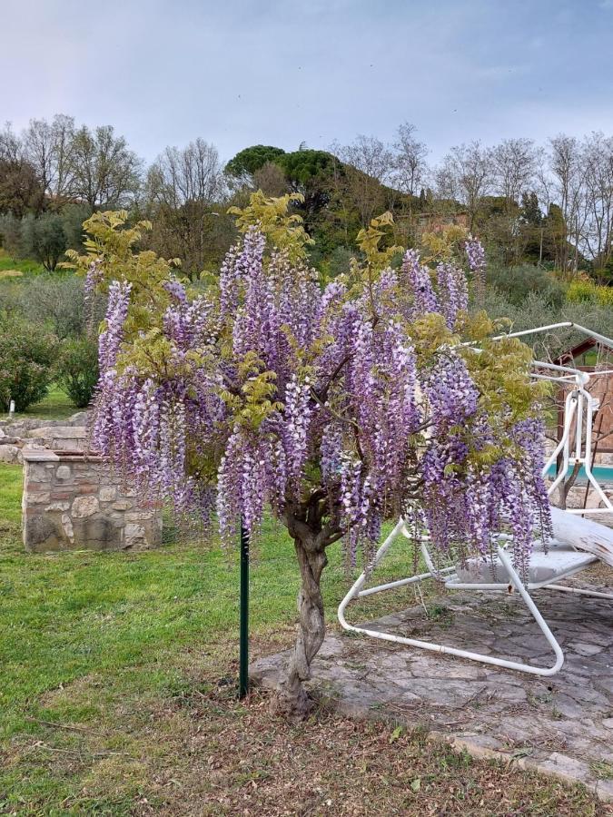 Agriturismo Camera Rosa 토티 외부 사진